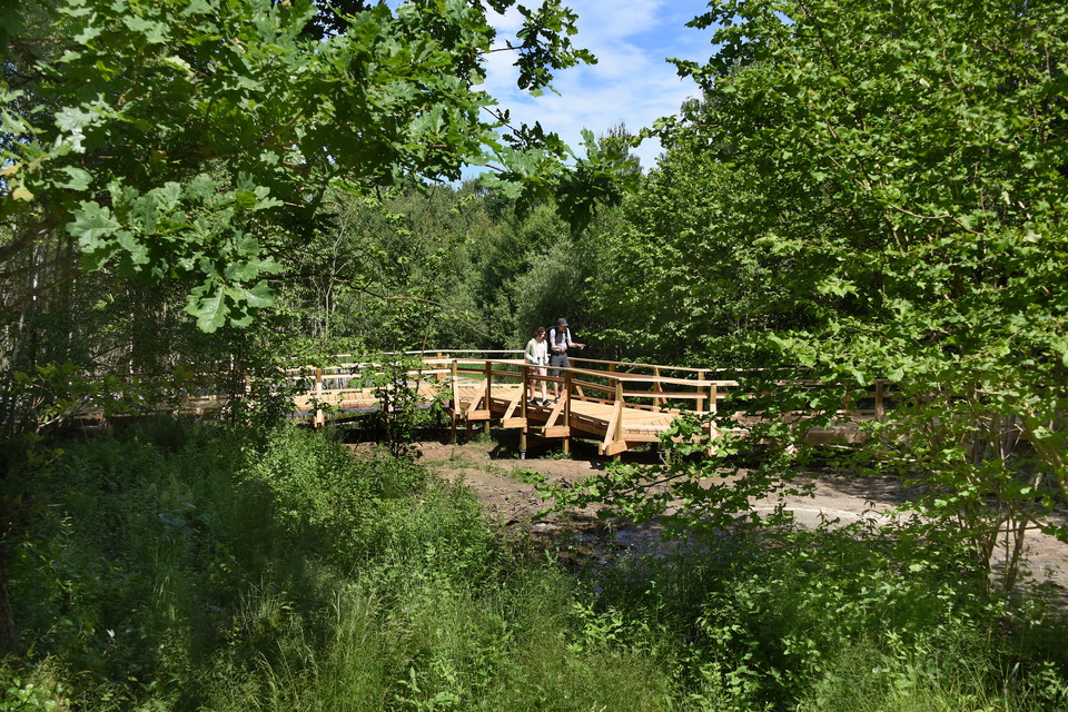 Tillgänglighetsanpassade besöksområden