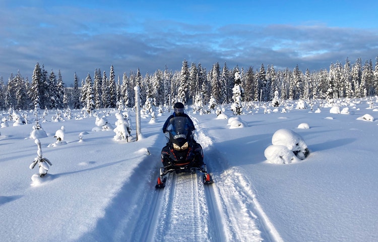 Skoterleder i Överkalix