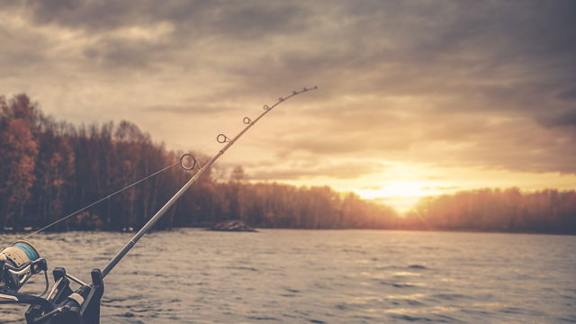 Lista över fiskeområden i Rönne å och Ringsjön