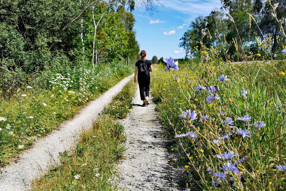 Vandra pilgrimsleden från Roma Kungsgård till Dalhem