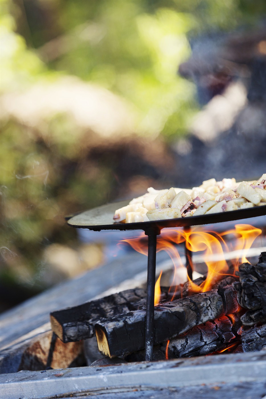 Grilla säkert i naturen