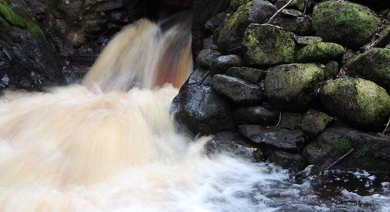 Naturreservat i Habo kommun