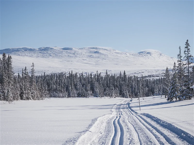 Storliens skidspår och vinterleder söder om järnvägen