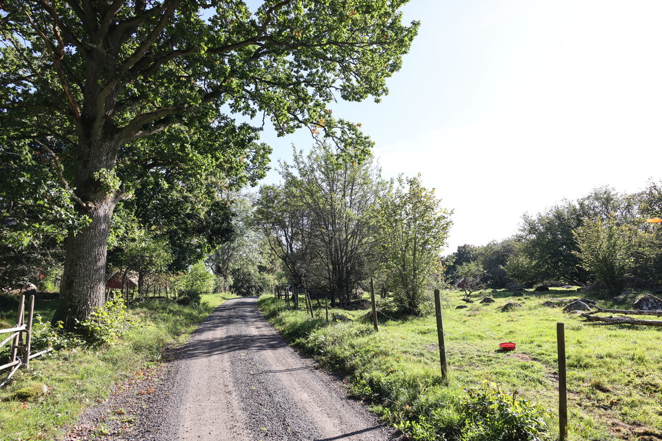 Vandra i Linnébygden - Östra Möckeln