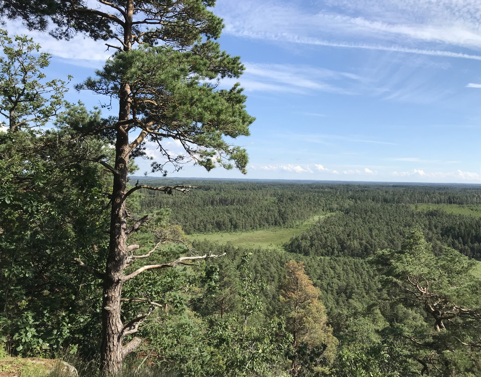 På vandring ovan trädtopparna