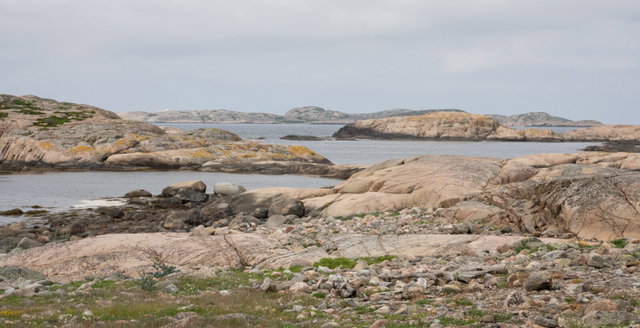 Tjurpanneområdet, Naturreservat