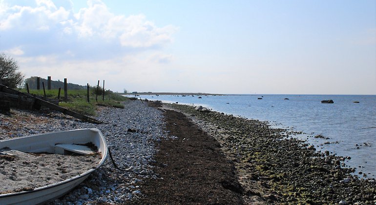 Strandremsa med sten och sand.
