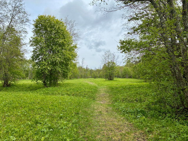 Hummelholm, vandringsled