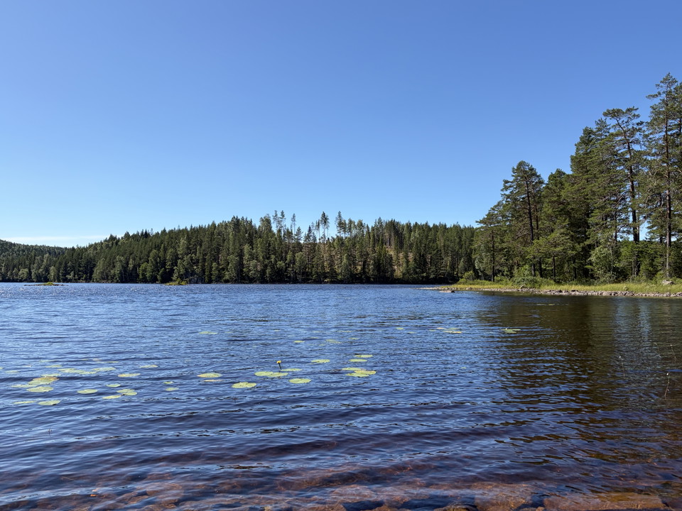 Vy över Stora Djurlången