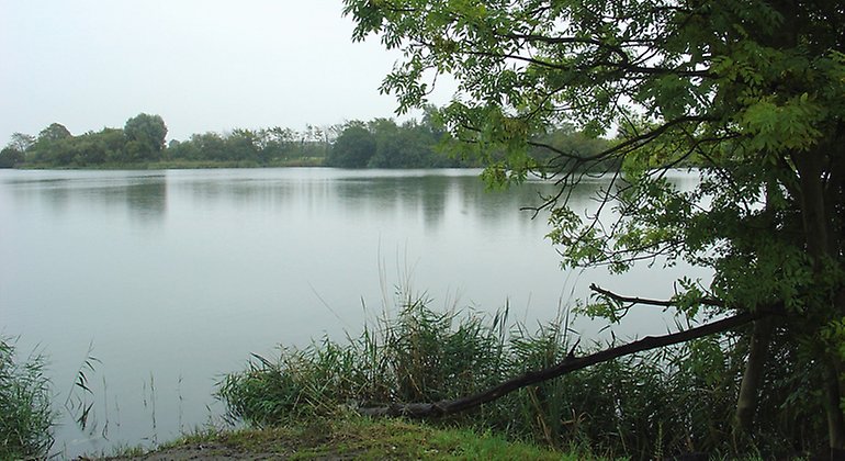 Östra dammarna.