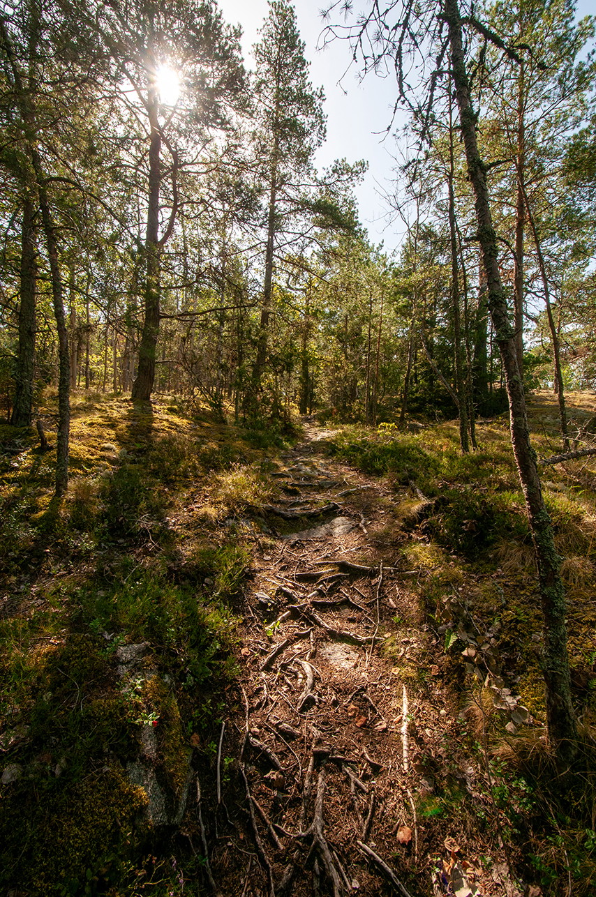 Foto: Johan Pontén