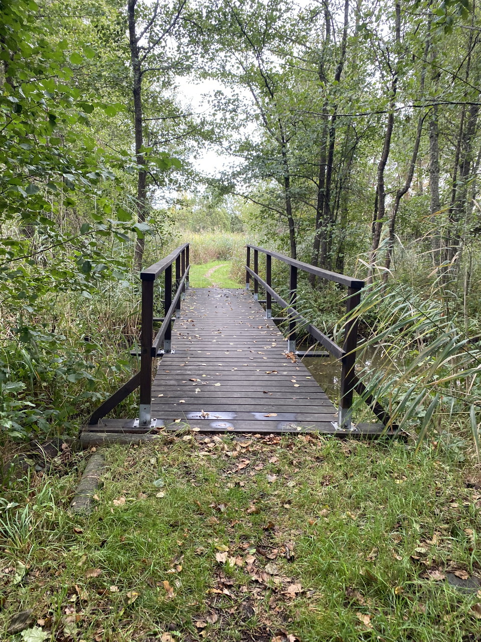 Träbro, Slakmörestrand
