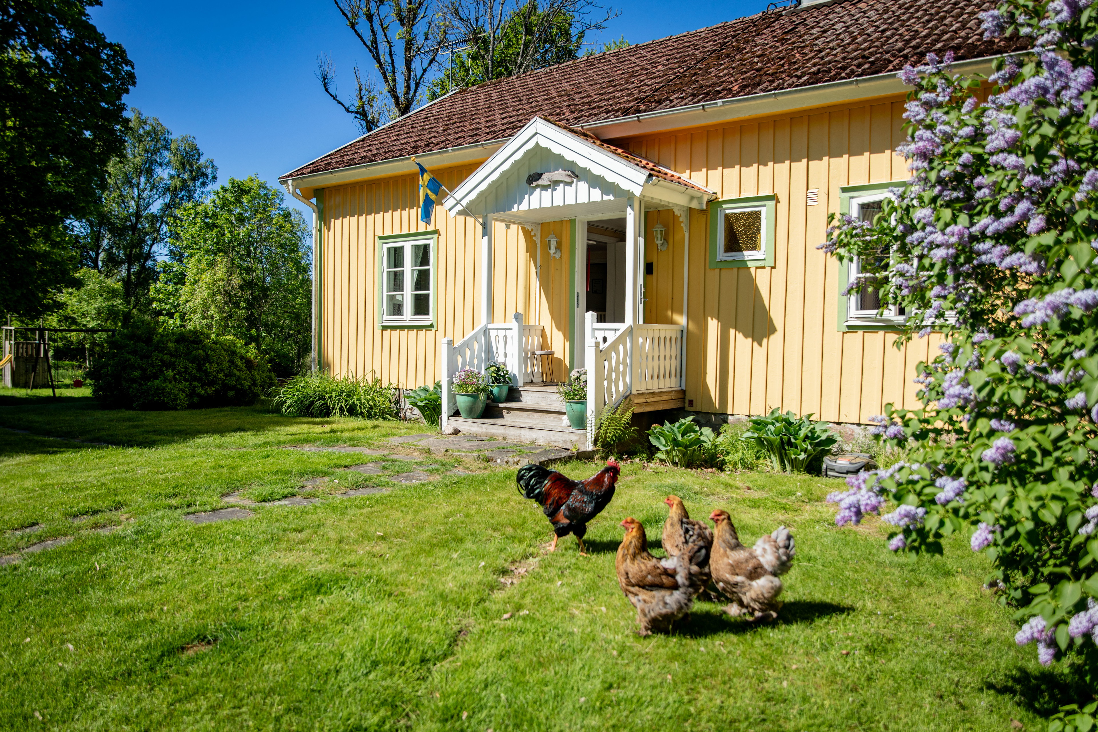 Sotanäs Bed & Breakfast