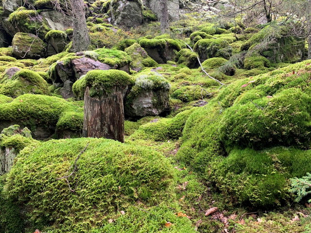 Sörmlandsleden etapp 3, 13km