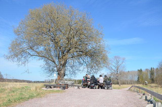 Tegelsmoraleden