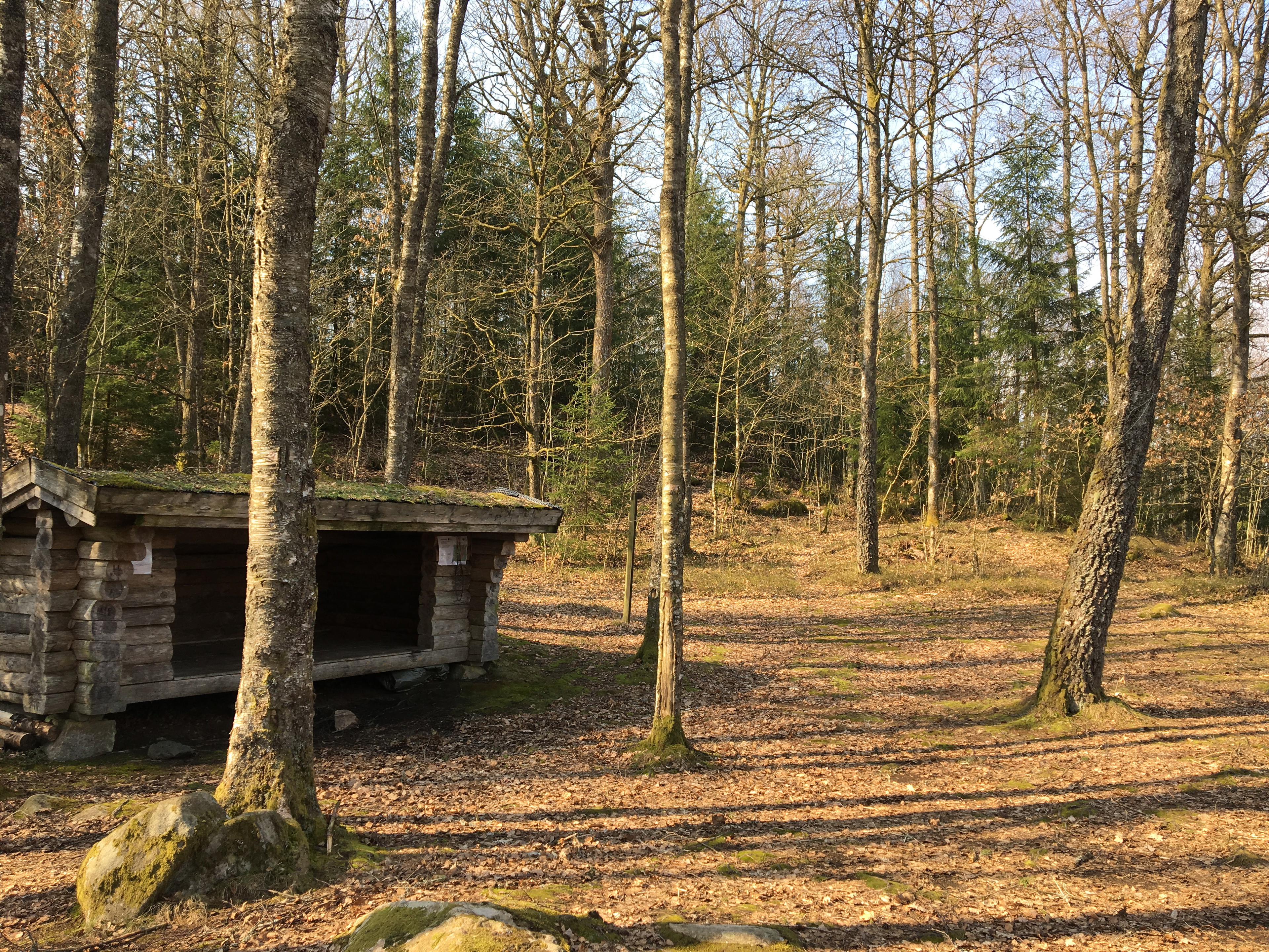 Lägerplats, Backa Södra