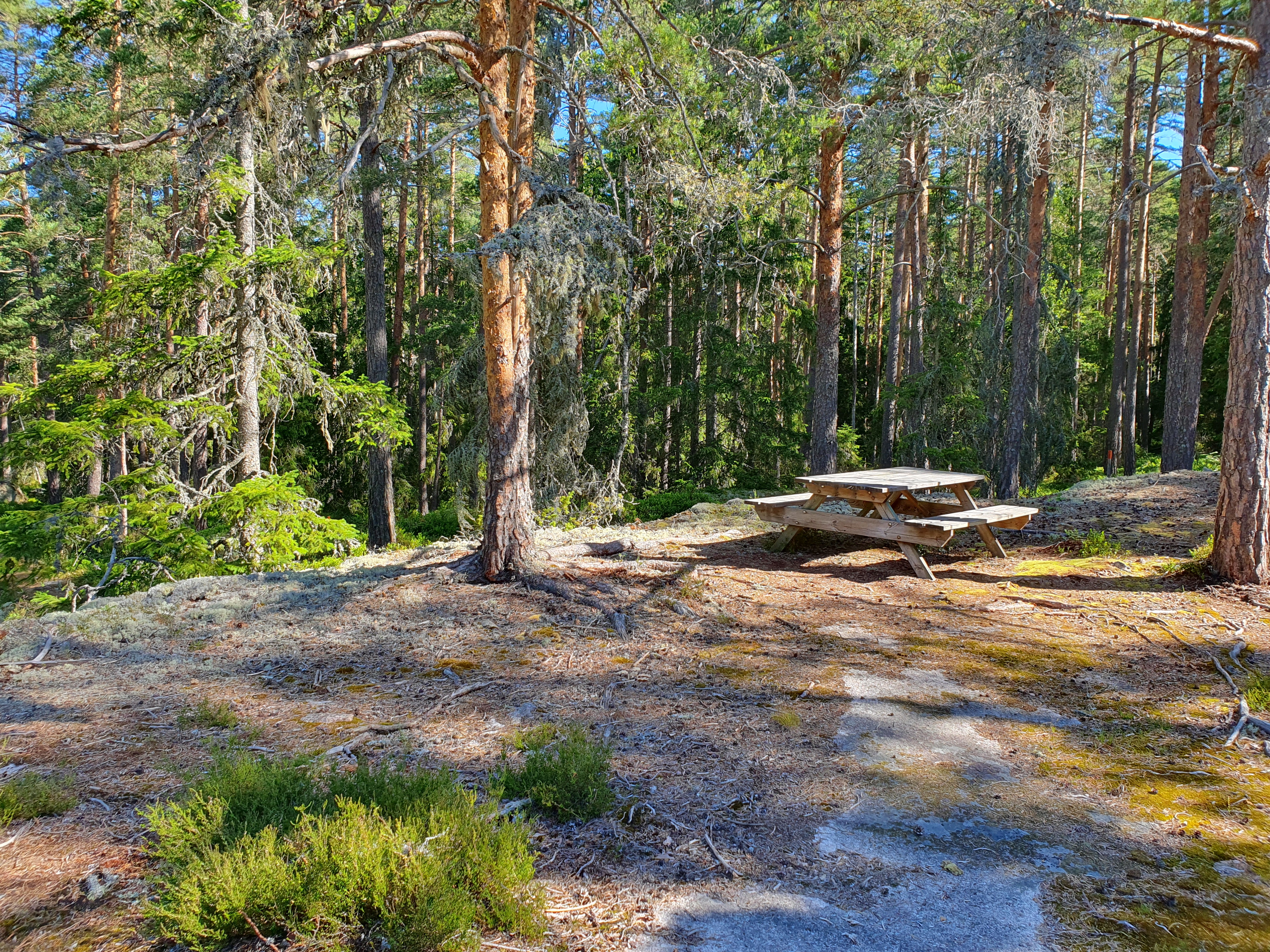 Rättareplatsen vid Seloberg.