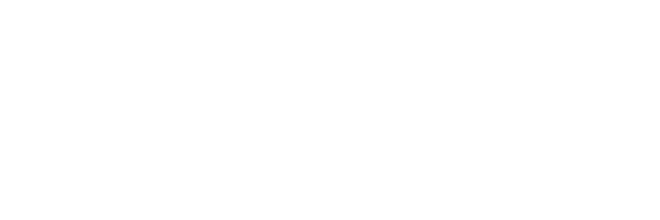 Valdemarsvik Logo
