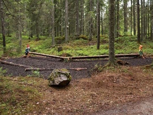 balansbana av trädstammar i en skog
