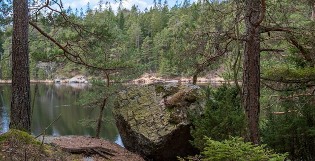 Risvedens vildmark, Naturreservat