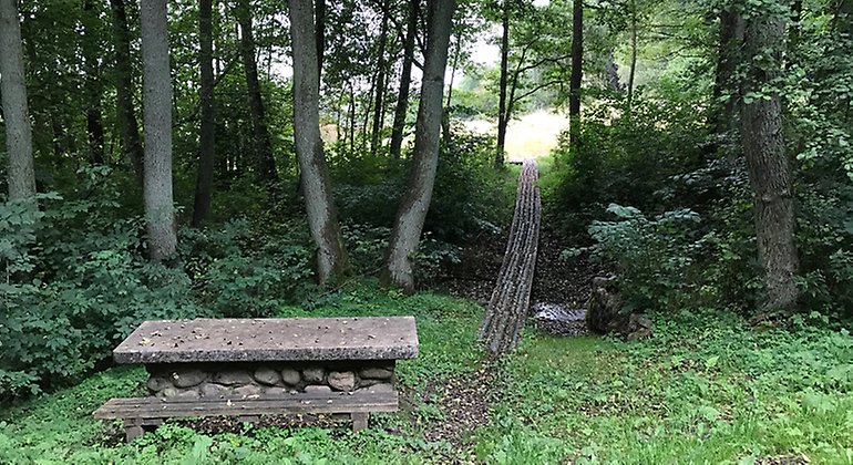 Vid parkeringsfickan finns en rastplats samt spänger genom blöt alskog fram till rikkärret.