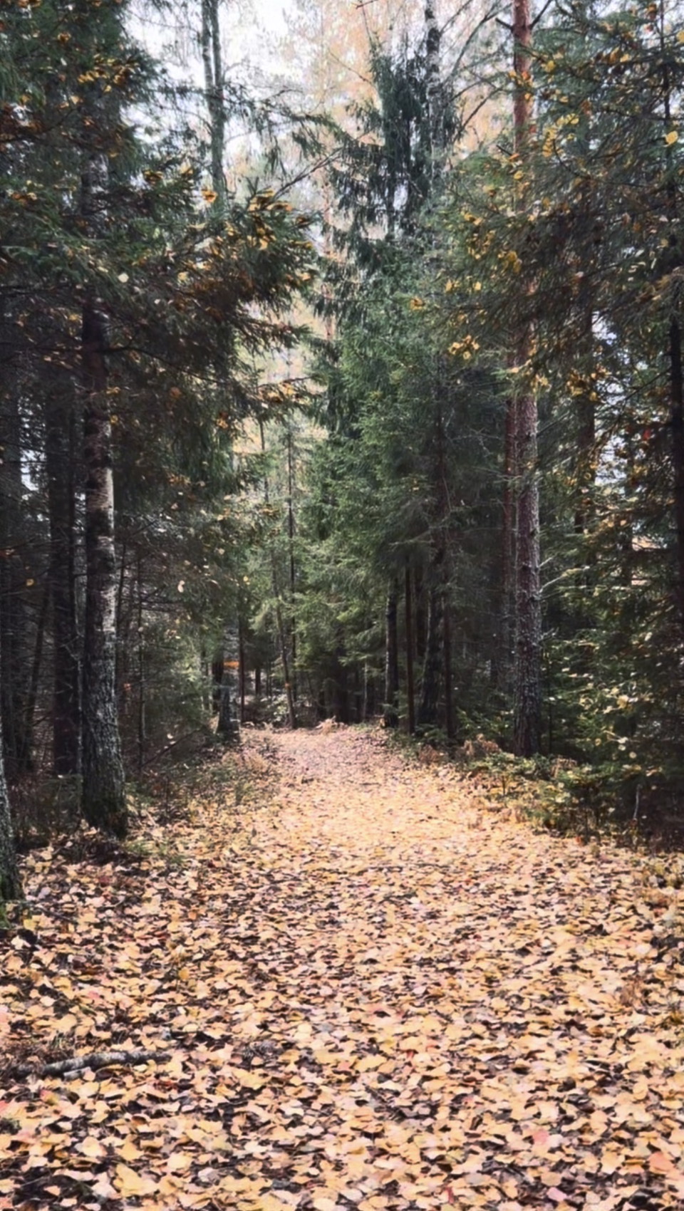 Åttan Östgötaleden 2026-10-20