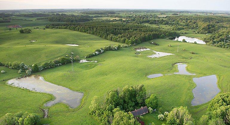 Svartskylles betesmarker med groddammar sedda från ovan.