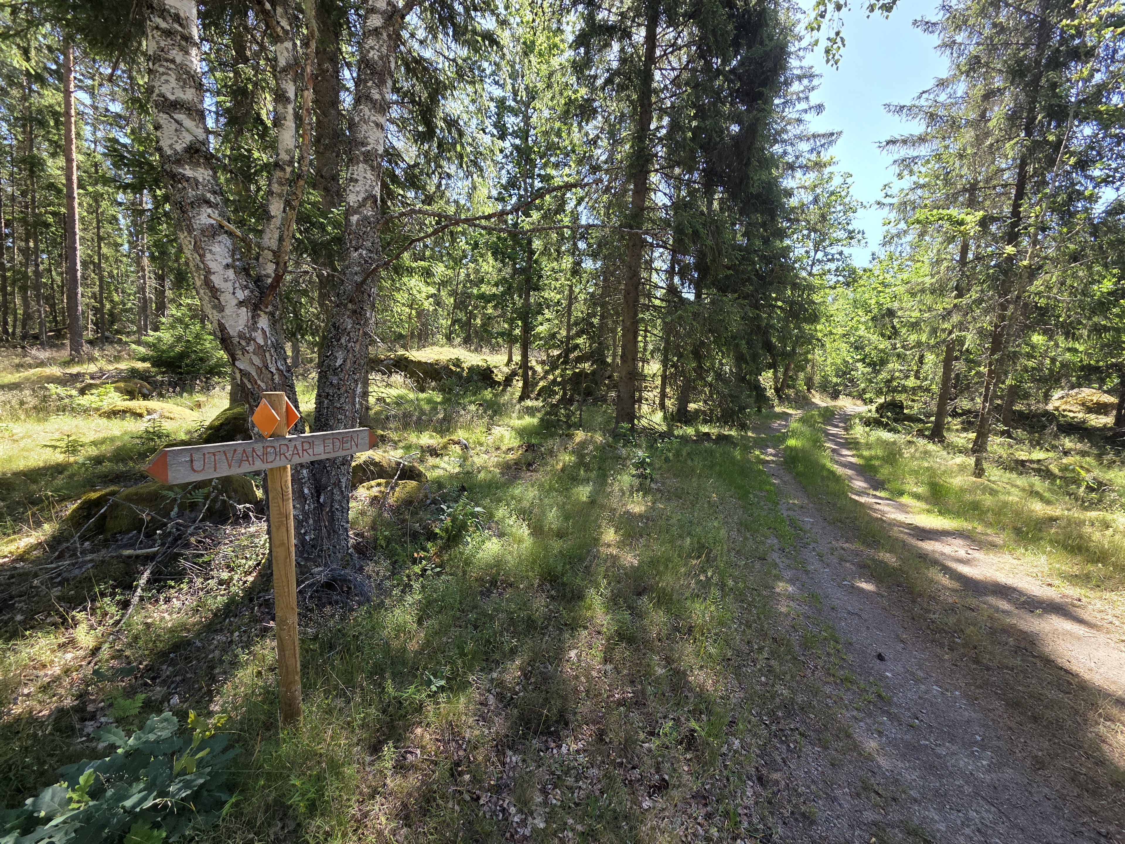 Utvandrarleden etapp UL3 Moshult - Långasjö - En del av Smålandsleden