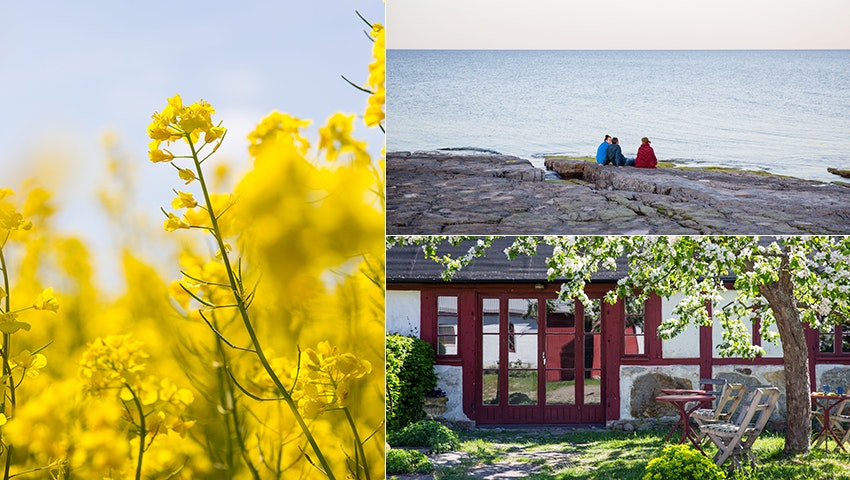 Signaturled Österlen