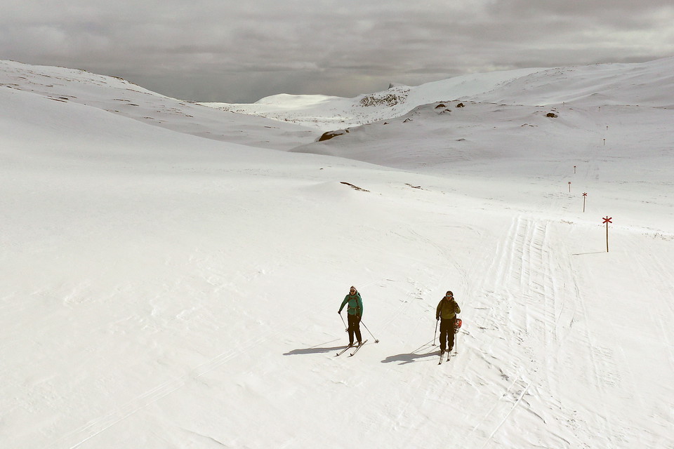 Lapplandsleden vinterled