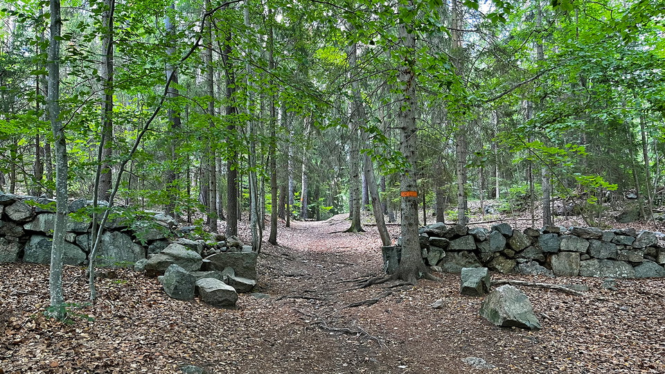 Signaturled Stockholm