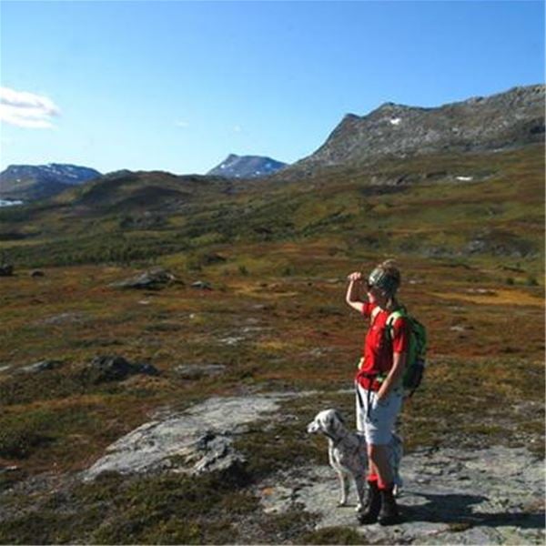 RÖNÄS – RÖSSVATTNET – GRÄNSLEDEN