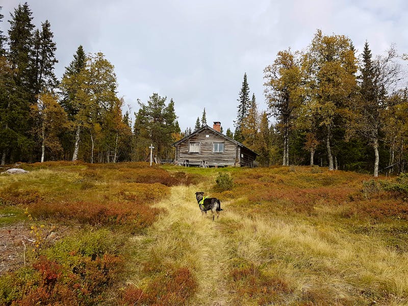 Etapper på fäbostigar (Älvdalens kyrka – Dritränn), Romboleden (3 dagar)