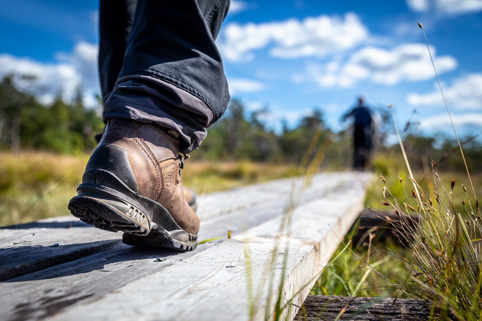 Vandringsleder på Gotland
