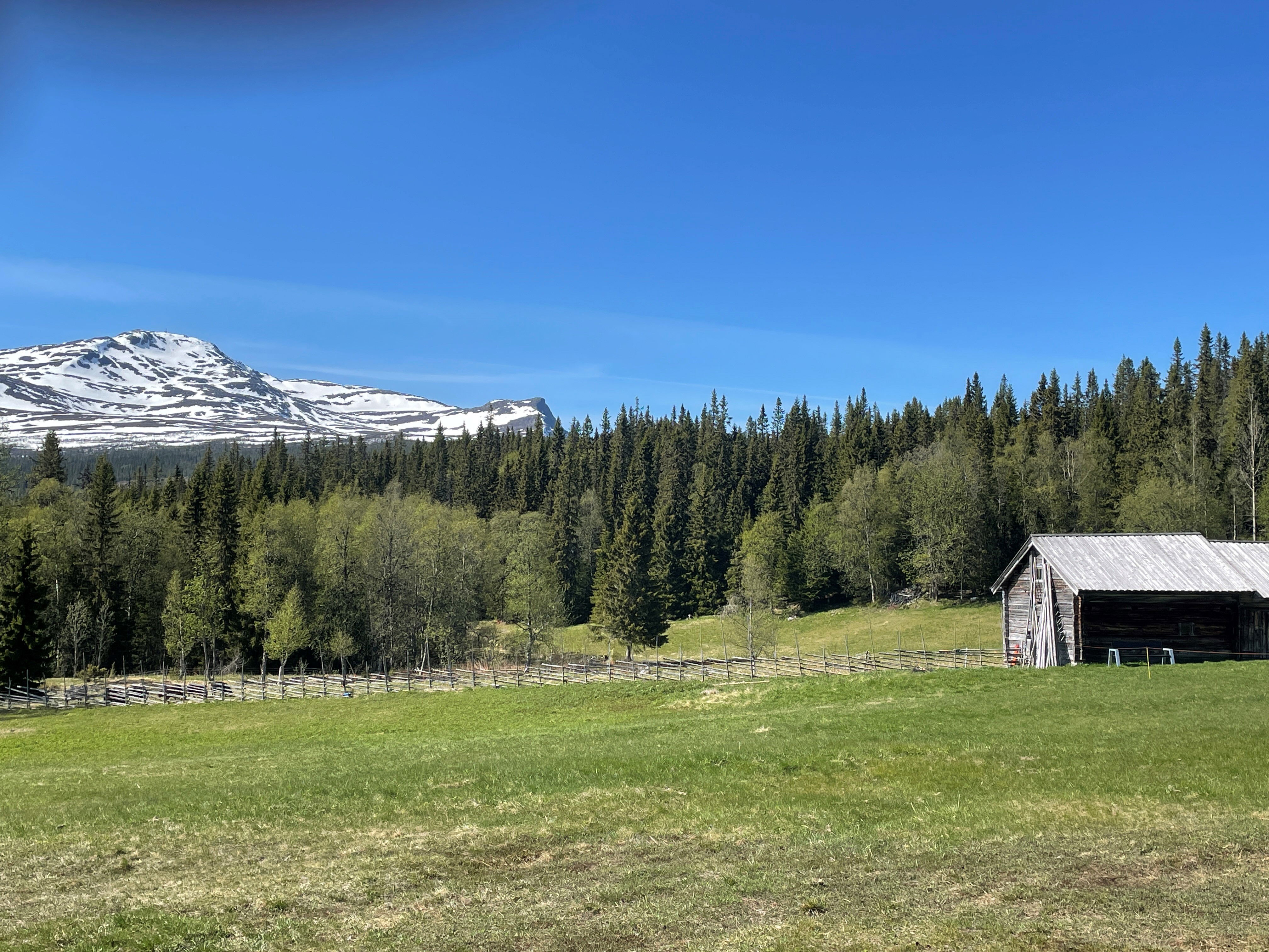 Vandring i Åre