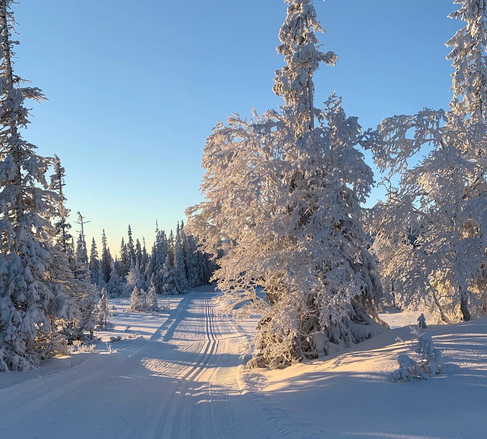 Vinterleder i Trillevallen