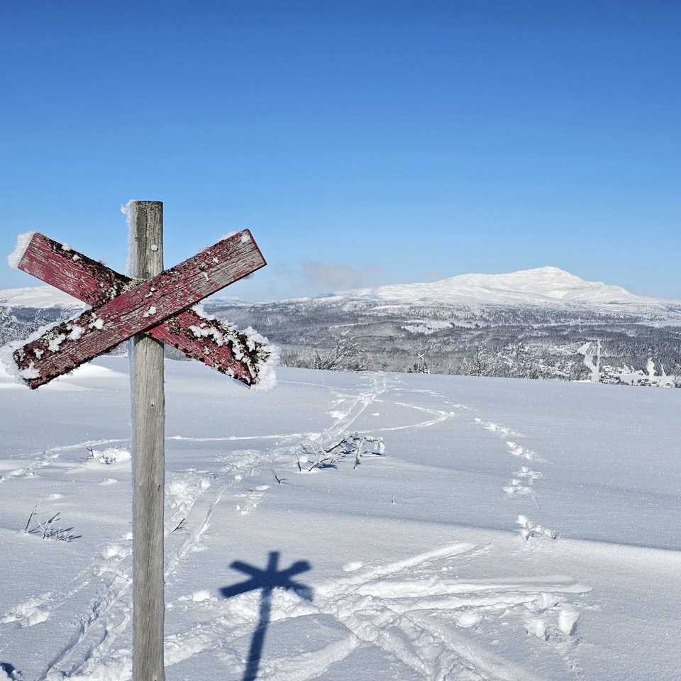 Vinterleder i Edsåsdalen