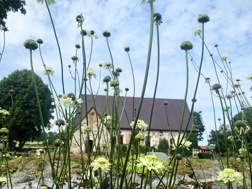 Livstens-leden ljudguide