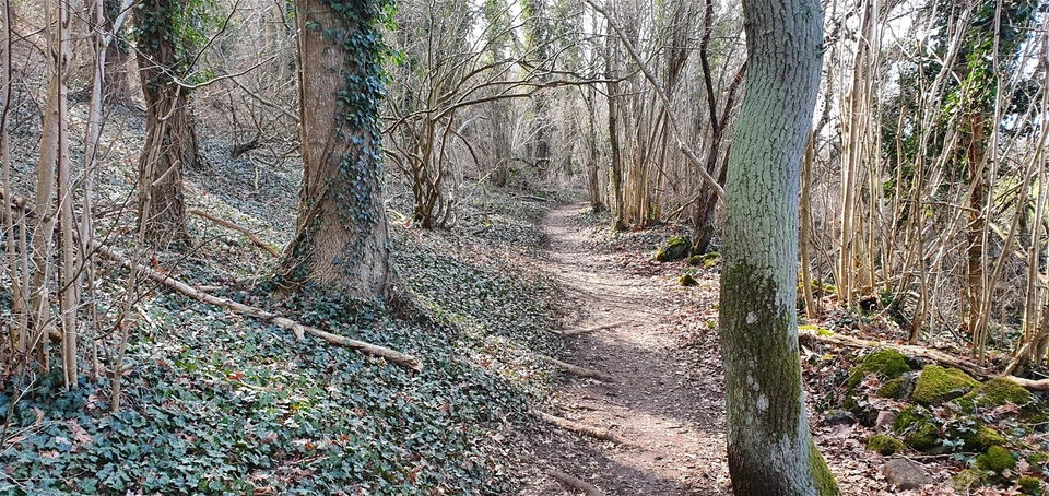 Ljudslinga Nunnedalen