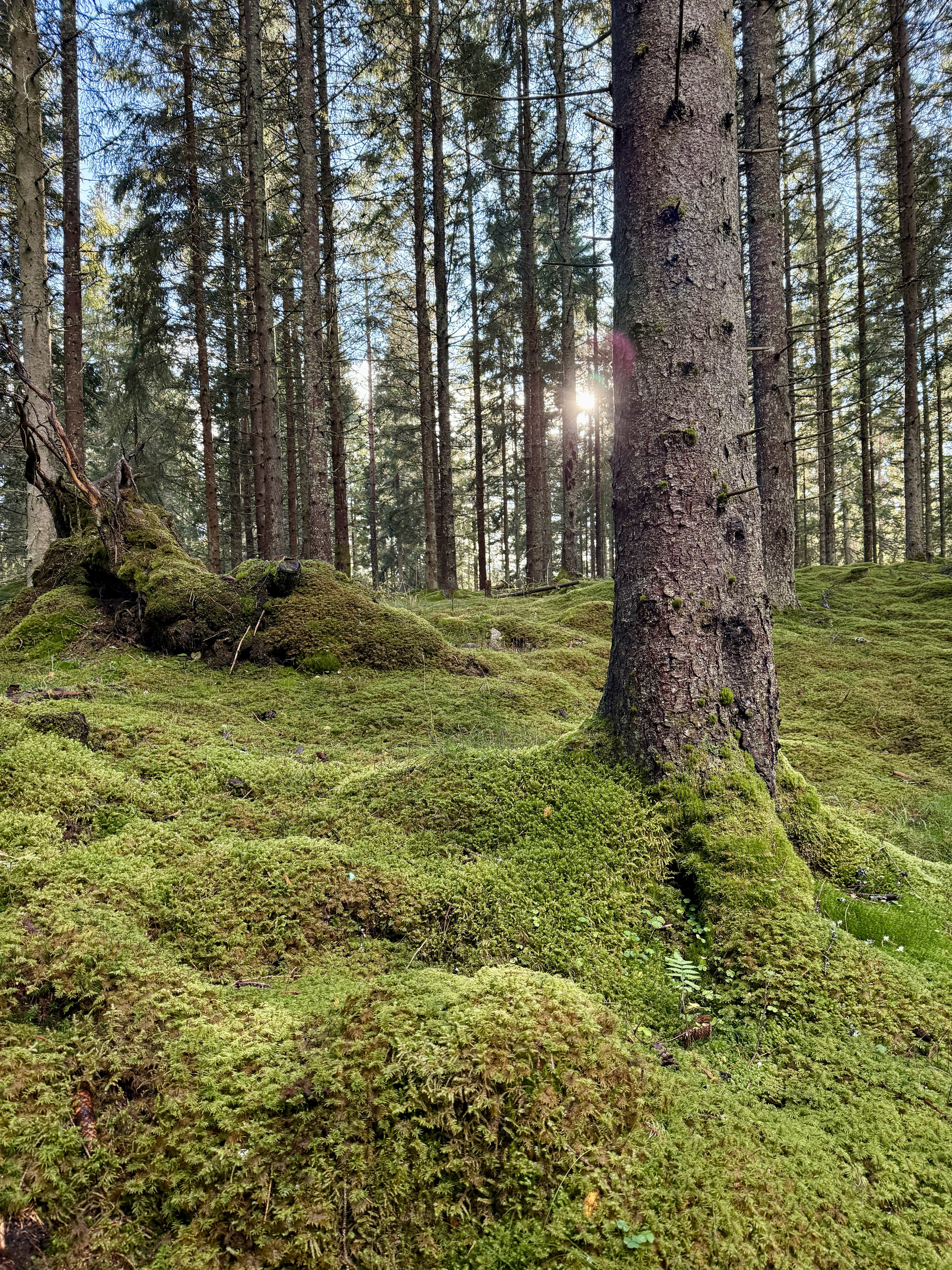 John Bauerleden - En del av Smålandsleden