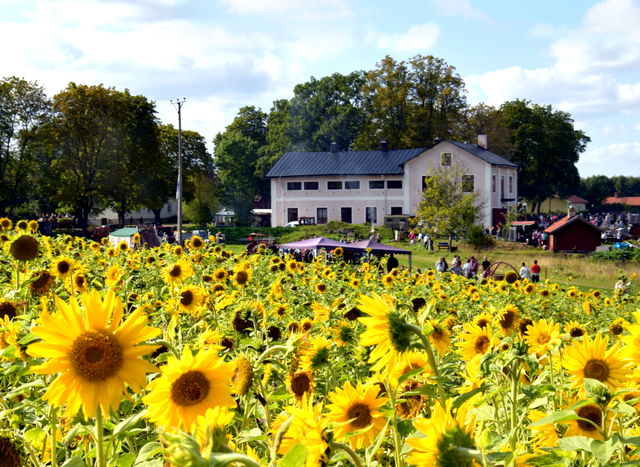 Historisk ljudvandring vid Jädersbruk