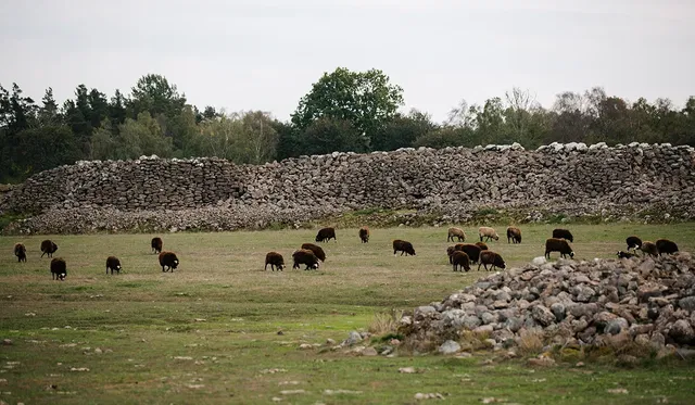 Mittlandets vandringar