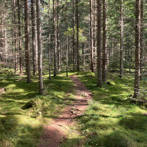 Värnamoleden - En del av Smålandsleden (miniguide)