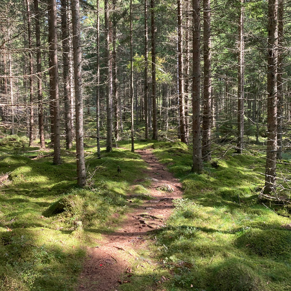 Värnamoleden - Teil des Smålandsleden