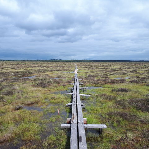 Kärdaleden - En del av Smålandsleden (miniguide)