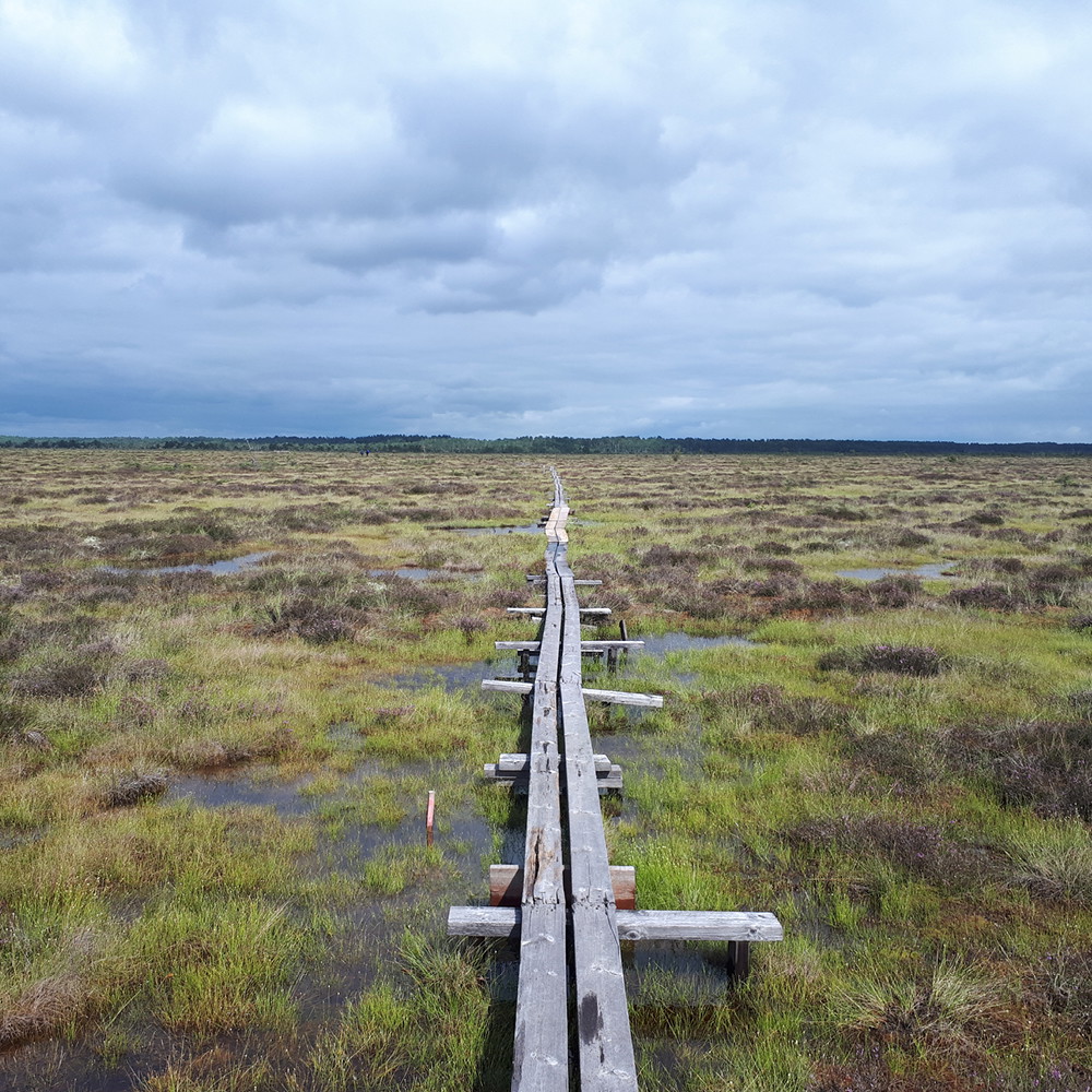 Kärdaleden - Teil des Smålandsleden