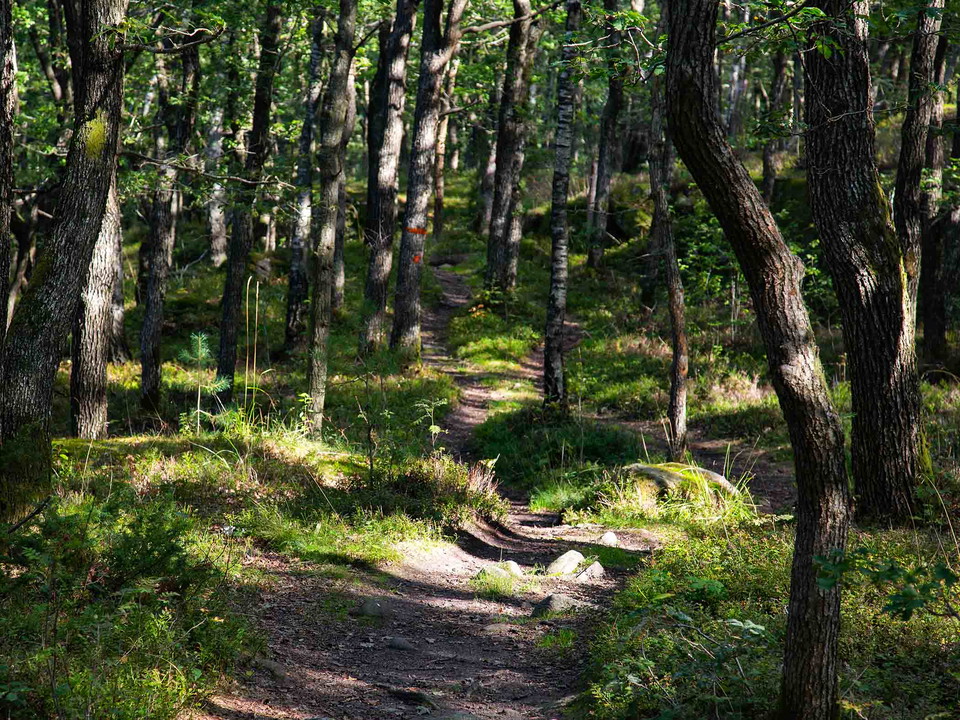 Signaturled Göteborg