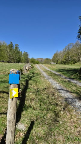 Östra Kvallåkra gul led