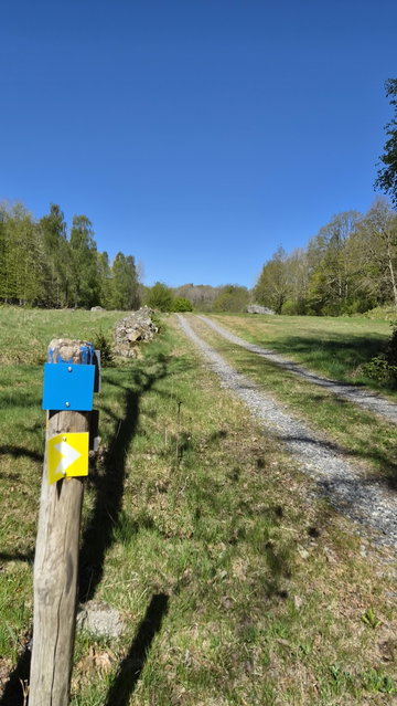 Kvallåkra gul led