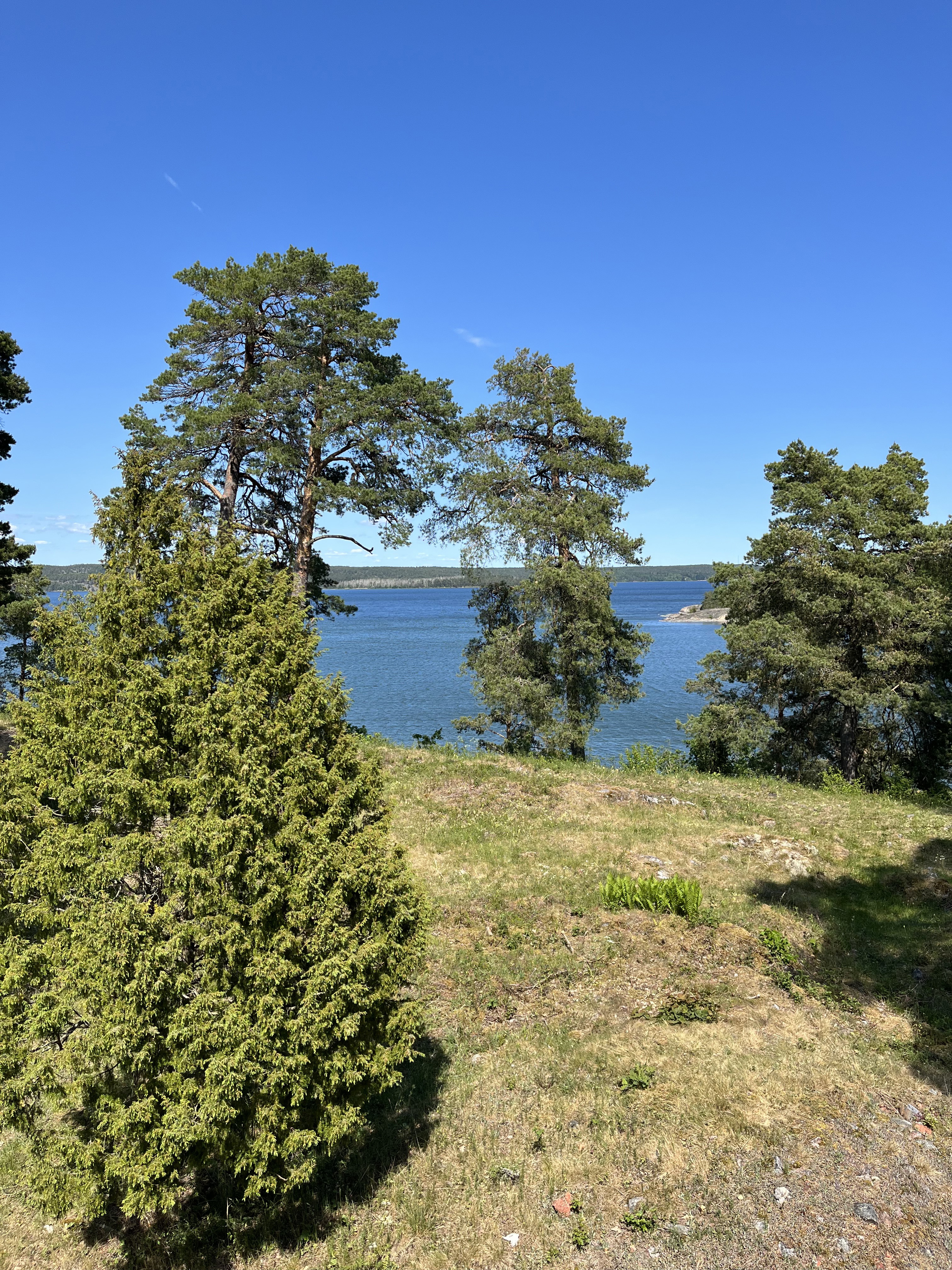 Utsikt över Slätbaken från borgsruinen.